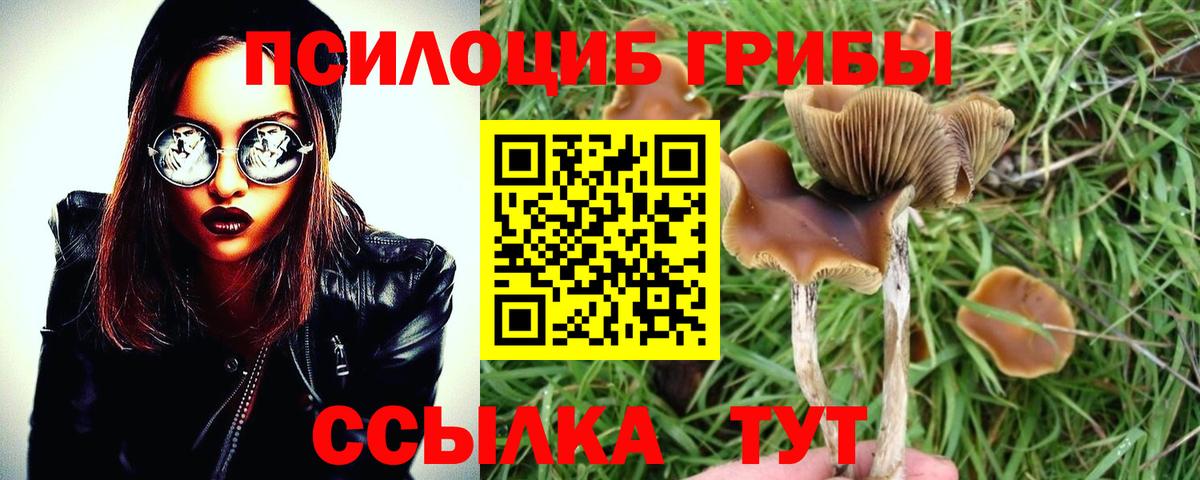 МЕФ   LSD-25  Бошки Шишки  ГЕРОИН  Дзержинск  МДМА  Метамфетамин  Вход с VPN  КОКАИН  ГАШИШ 