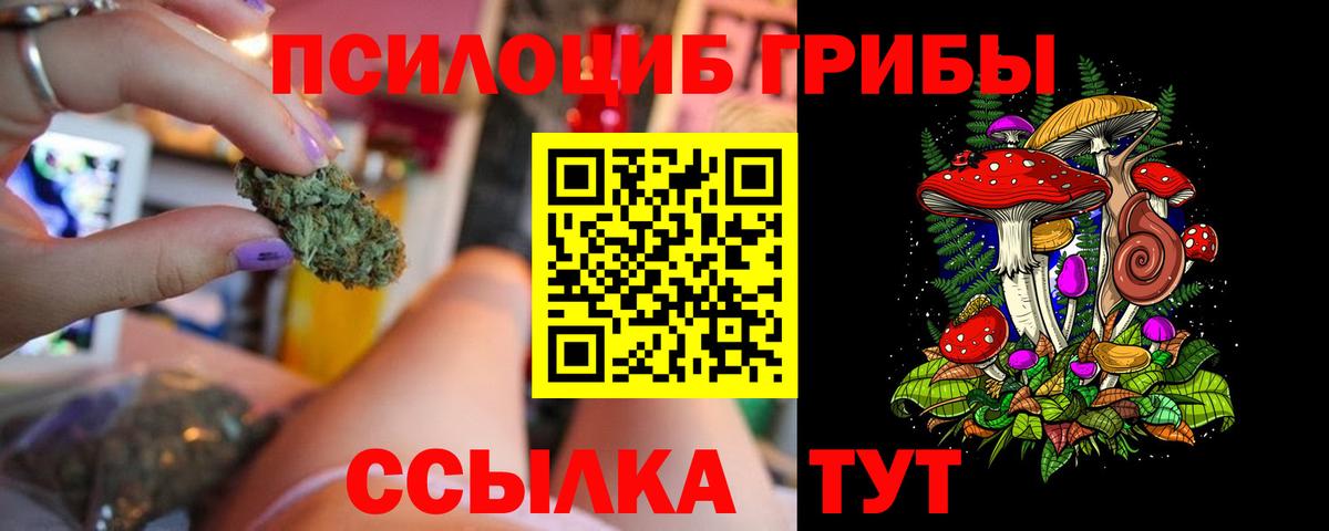 Дзержинск  Псилоцибиновые грибы Cubensis  Псилоцибиновые грибы мицелий  Вход с VPN 